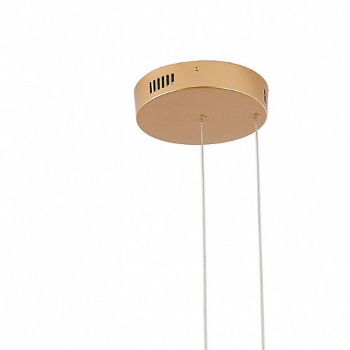 Подвесной светильник Ringolight ZRS.33320.63F