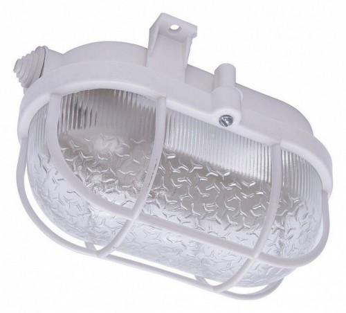 Настенно-потолочный светильник Feron НБП 01-60-002 41404