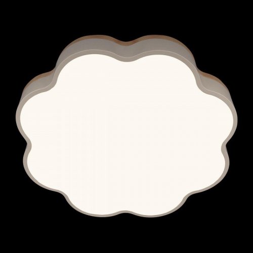 Потолочный светильник Axel 10225/36 White