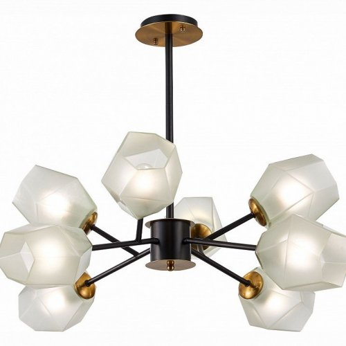 Потолочная люстра Evoluce Terramo SLE205102-08