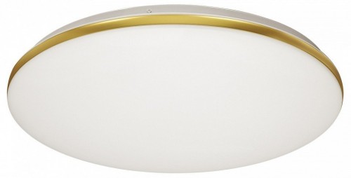 Настенно-потолочный светильник Sonex Lassa 3043/DL