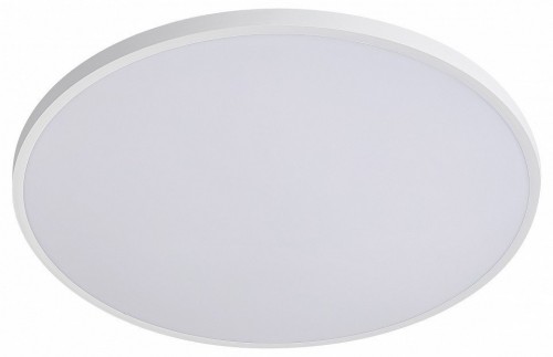 Накладной светильник Lightstar Arco Eco 225740 Накладной светильник Lightstar Arco Eco 225740