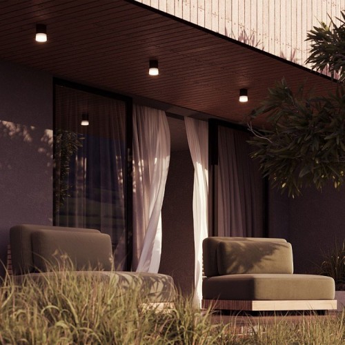 Потолочный светильник уличный Maytoni Ember O499CL-L10B3K