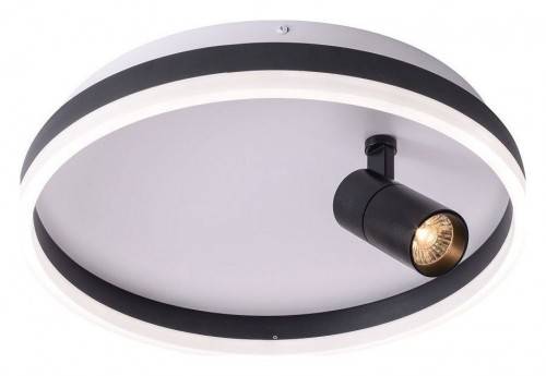 Потолочный светильник Zortes Raizy ZRS.1888.03