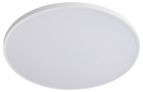 Накладной светильник Lightstar Arco Eco 225720 Накладной светильник Lightstar Arco Eco 225720