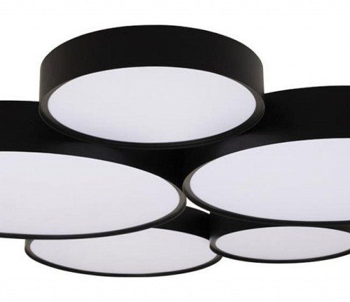 Потолочный светильник Drum 10218 Black