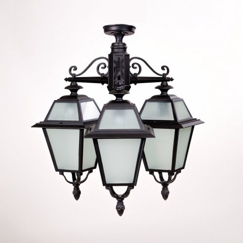 Потолочный светильник уличный Oasis Light FARO-FROST L 91170fLA/3 Bl