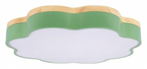 Потолочный светильник Loft IT Axel 10225/36 Green