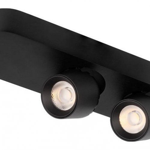 Спот Loft IT Quiet 10320/2 Black