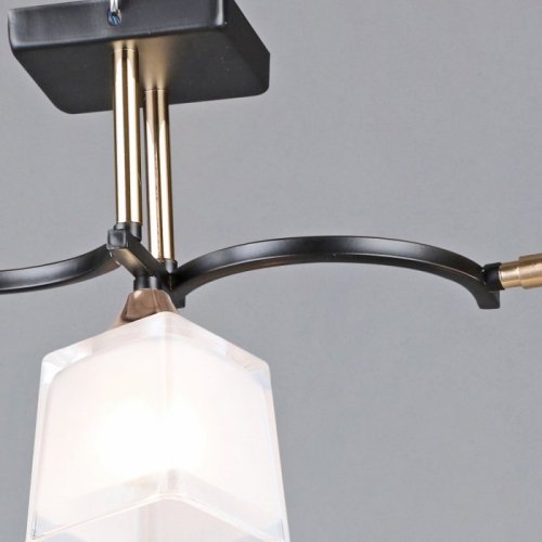 Потолочная люстра  06404-0.3-03 BK+FGD