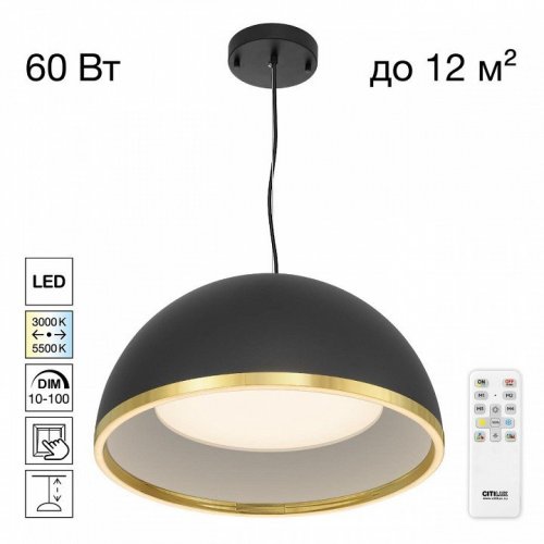 Подвесной светильник Citilux FLOOM CL736251