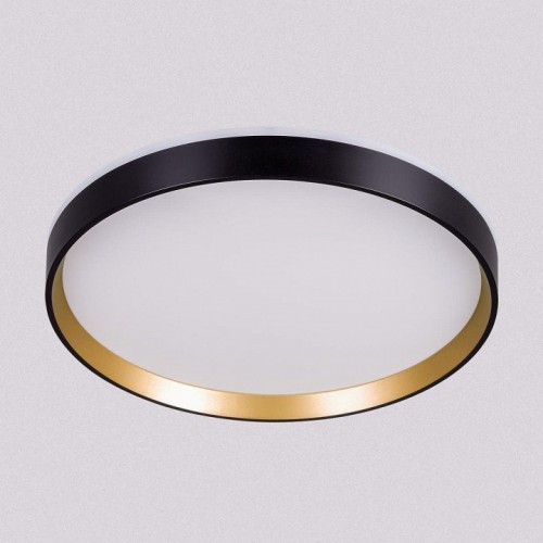 Накладной светильник Citilux ETALON CL750321R