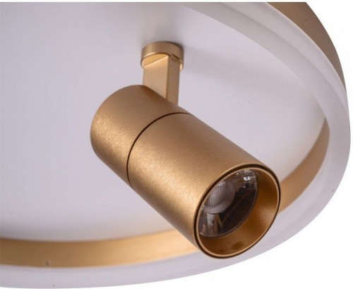 Потолочный светильник Zortes Raizy ZRS.1888.04