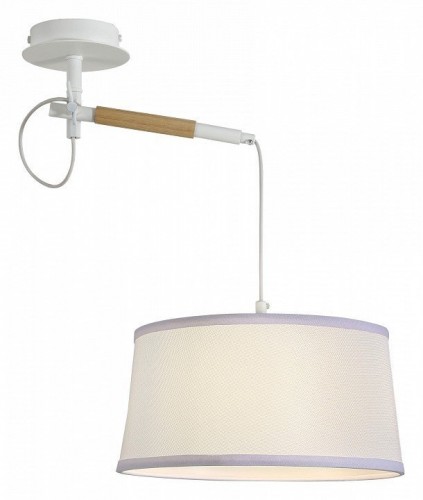 Подвесной светильник F-Promo Eureka 3005-1P