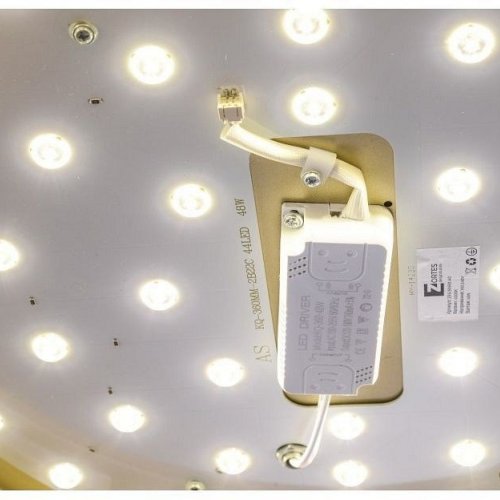 Потолочный светильник Zortes Gabby ZRS.90610.40