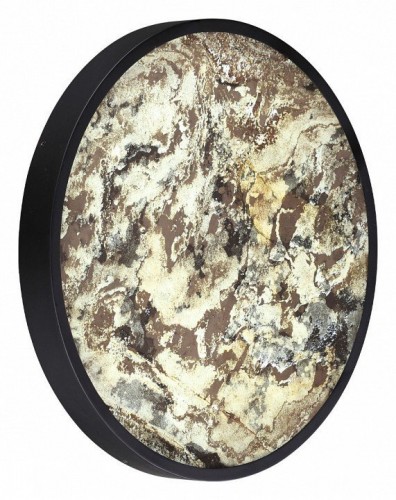 Настенно-потолочный светильник Odeon Light Bergi 5064/40L