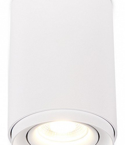 Накладной светильник SIMPLE STORY 2065 2065-1CLW Накладной светильник SIMPLE STORY 2065 2065-1CLW