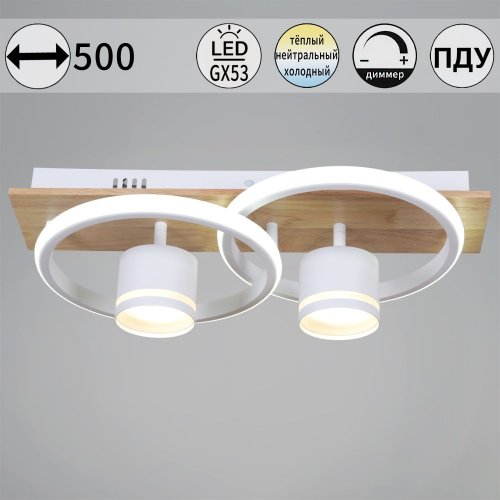 Потолочная люстра  29560-0.3-2+2 WH+WOOD