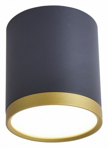 Потолочный светильник Favourite Baral 3081-1C