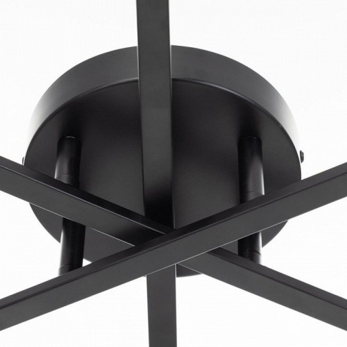 Потолочная люстра Citilux Glob CL209261