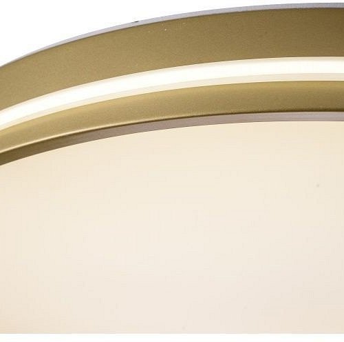 Потолочный светильник Zortes Gabby ZRS.90610.50