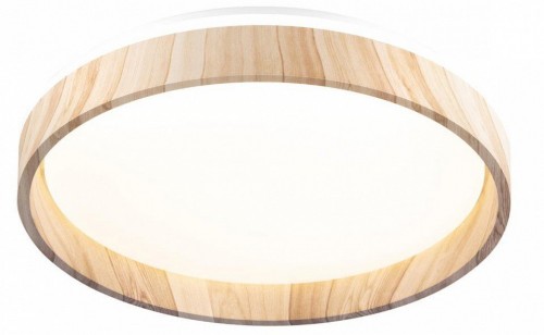 Накладной светильник Citilux ENZO CL753352G Накладной светильник Citilux ENZO CL753352G