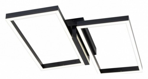 Потолочная люстра Escada Scales 10209/2LED Black Потолочная люстра Escada Scales 10209/2LED Black