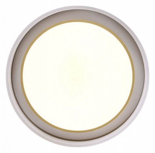 Потолочный светильник Zortes Adel ZRS.1200.01