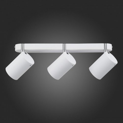 Настенно-потолочный светильник ST Luce Fanale SL597.501.03