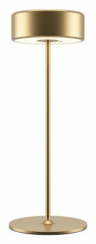 Интерьерная настольная лампа Maytoni AI Collaboration MOD229TL-L3G3K2