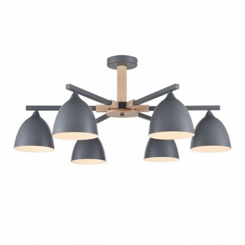 Потолочная люстра Lumion Colange 8096/6C Потолочная люстра Lumion Colange 8096/6C