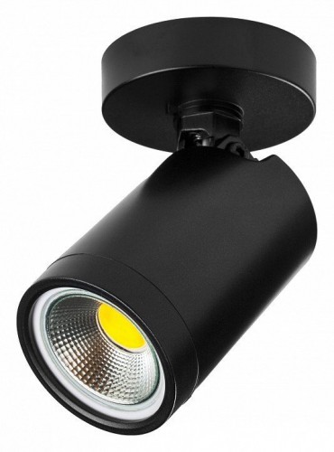 Точечный светильник Lightstar Rullo 213407