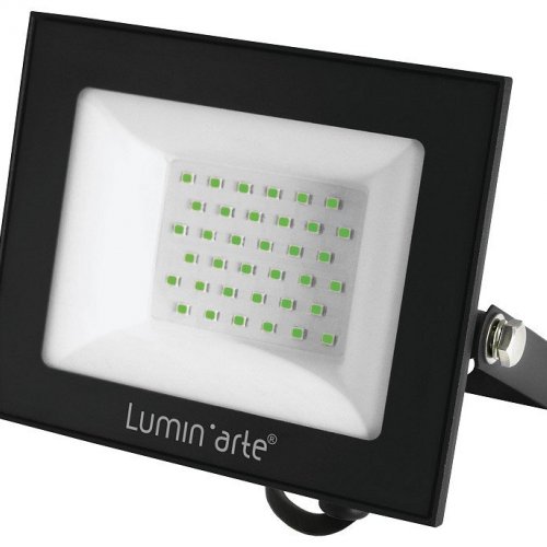 Настенно-потолочный прожектор Luminarte LFL LFL-50W/07