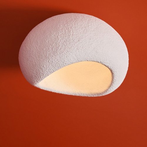 Потолочный светильник Freya Mound FR5428CL-01W