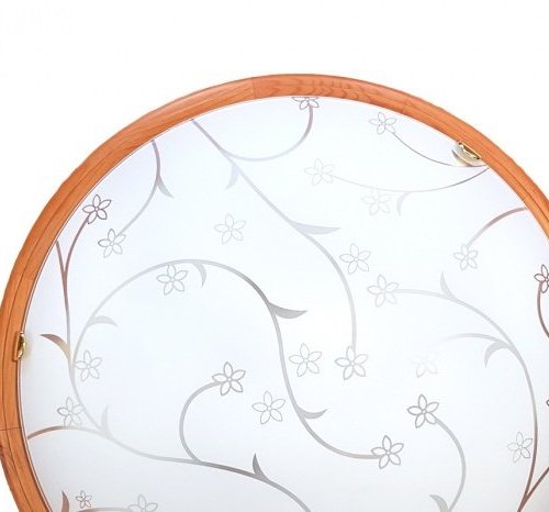 Потолочный светильник Zoldi 3107