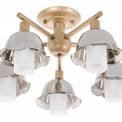 Потолочная люстра MyFar Lisa MR1481-5C Потолочная люстра MyFar Lisa MR1481-5C