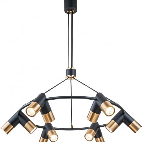 Подвесная люстра Indigo Doppio 11036/12P Black V000455 Подвесная люстра Indigo Doppio 11036/12P Black V000455