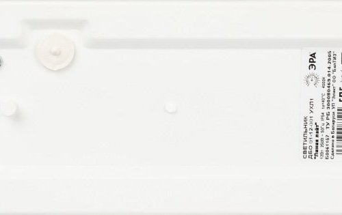 Настенно-потолочный светильник ЭРА ДБО 01-12-001