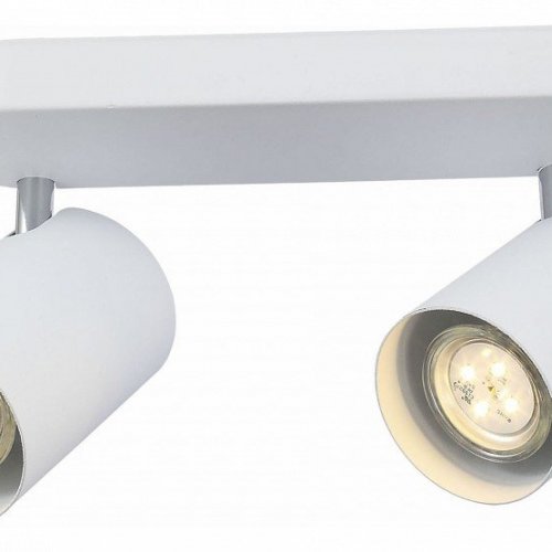 Настенно-потолочный светильник ST Luce Fanale SL597.501.02