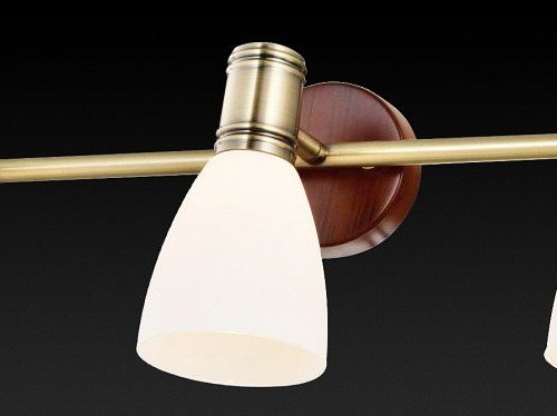 Настенно-потолочный светильник Toplight Sharyl TL3720Y-03BB