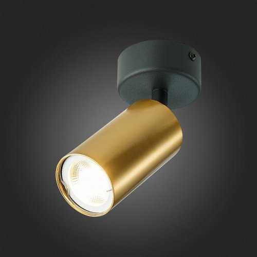 Спот ST Luce ST303.202.01 Спот ST Luce ST303.202.01