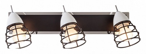 Спот Escada Dynamic 1106/3A