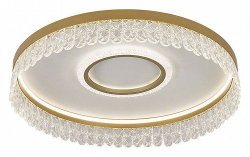 Потолочный светодиодный светильник F-Promo Lunetta 4186-2C