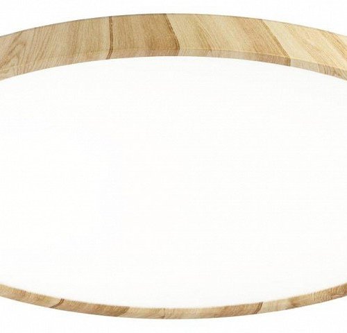 Накладной светильник Citilux Бейсик CL738322V