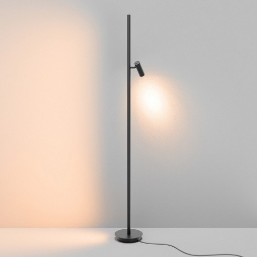Торшер Maytoni Thin MOD395FL-L28B3K
