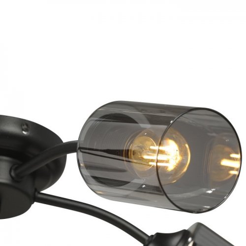 Потолочная люстра  V2558-1/5PL