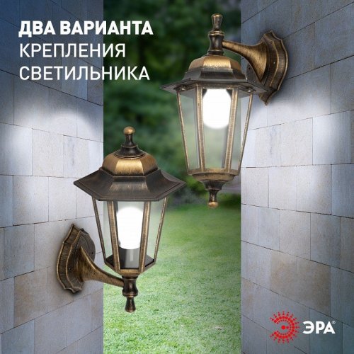 Светильник на штанге Эра  НБУ 06-60-001 бронза