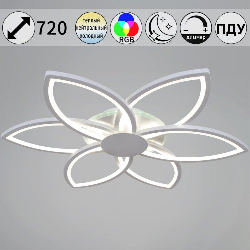 Потолочная люстра  09877-0.3-06B WH (RGB)