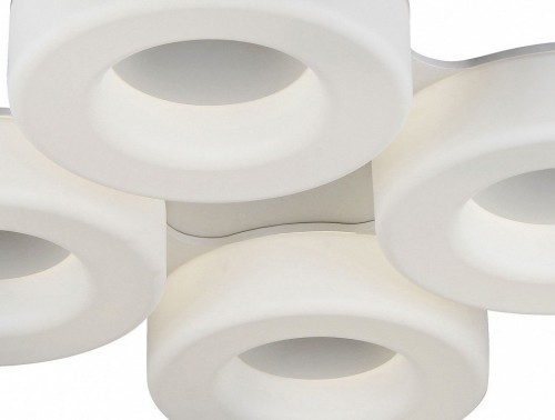 Потолочный светильник ST Luce Lordin SL886.552.04