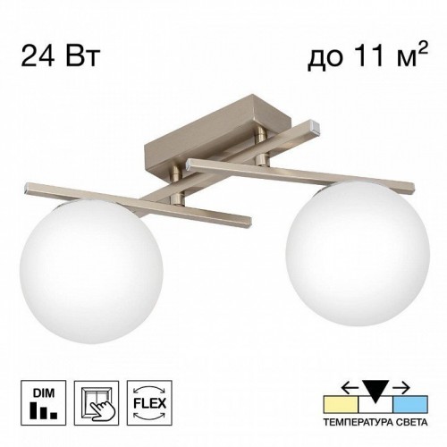 Накладной светильник Citilux DORSY CL223121